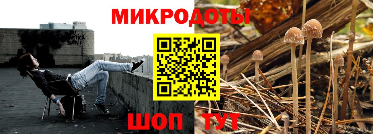 Мытищи  Галлюциногенные грибы прущие грибы  Вход с VPN 